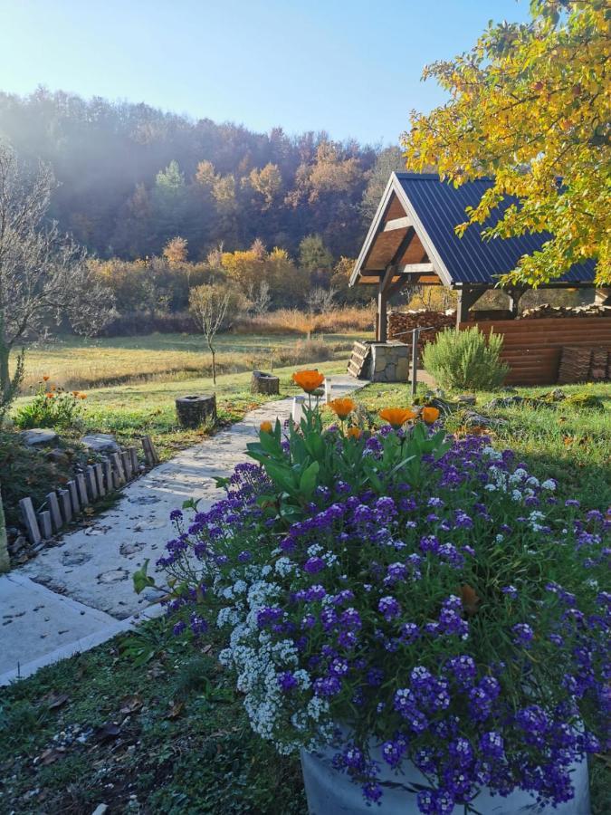 Apartman Sveti Rok エクステリア 写真